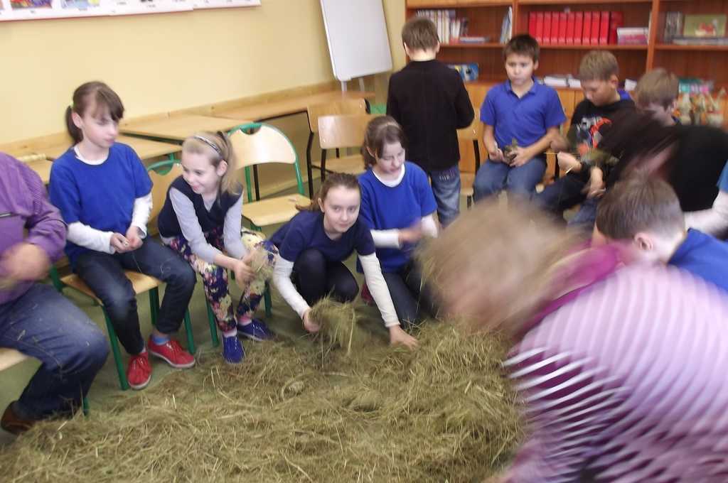 DSCF0577.JPG